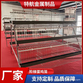 阶梯蛋鸡笼多层阶梯全自动清粪捡蛋喂料简单加背负式喂料机捡蛋机