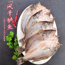 風干魚特色鱸魚陽干鱸魚湖南特產整條鮮活魚獨特腌制魚干一件代發