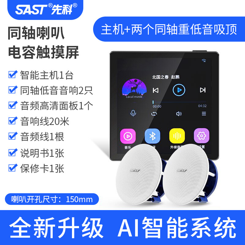 호스트 + HiFi 레벨 2 동축 서브우퍼 천장 스피커