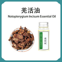 ���R��Ǽ����B���^����ș��Ħ��  ��ș��ֲ��η����ͬF؛���l