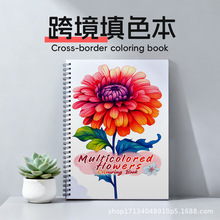 ����վ���N�Tɫ�����������T�f���L����������ɫ����ɫ������24�