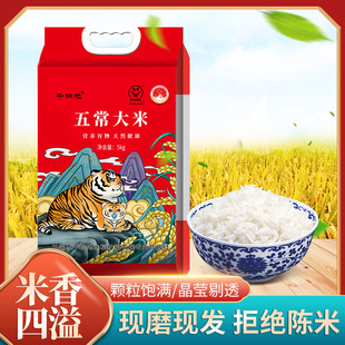 �����L�����׬Fĥ�F�l�|���L������������ʮ��a��ֱ�l�峣����