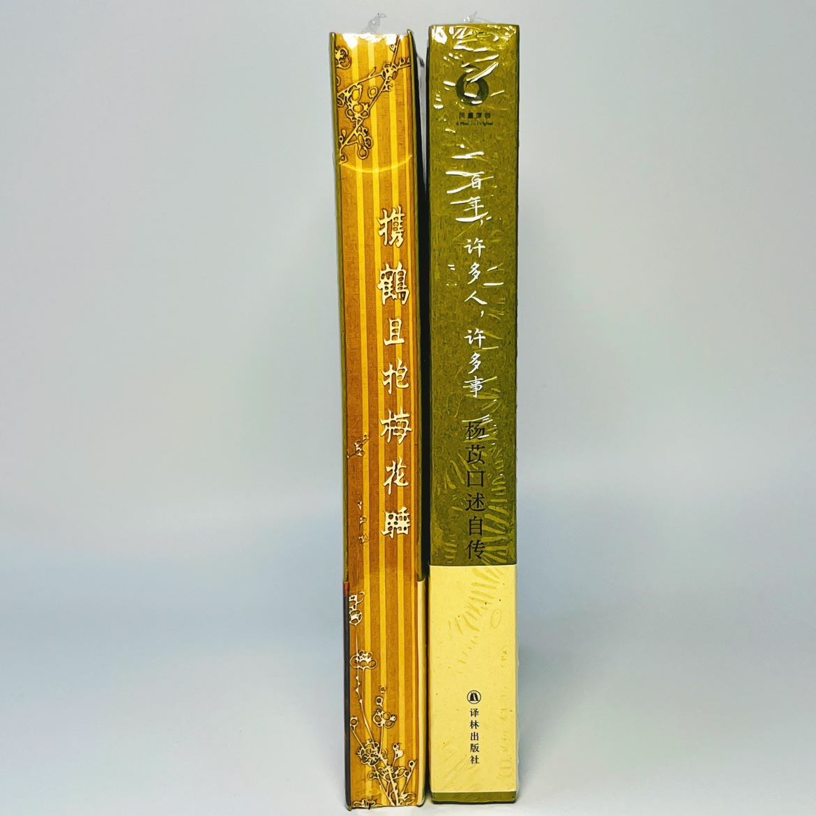 特装本杨苡口述自传一百年许多人许多事 书口雕刻书定 做