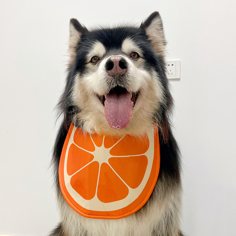 Dog Scarf 2