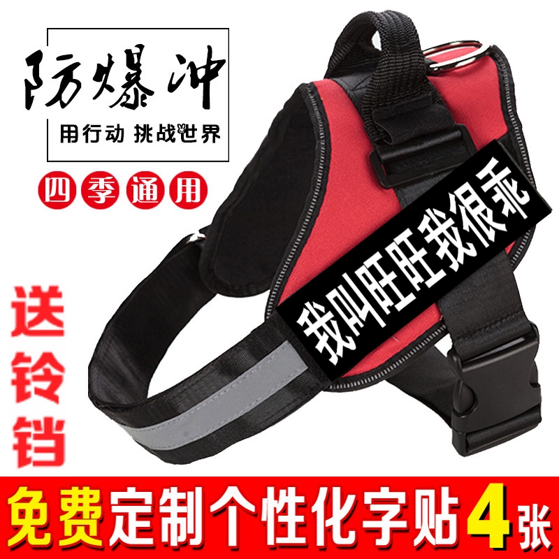 K9 собачья грудь выгуливает собачью буксирную поводку золотистый ретривер Лабрадора Сацума Аляски