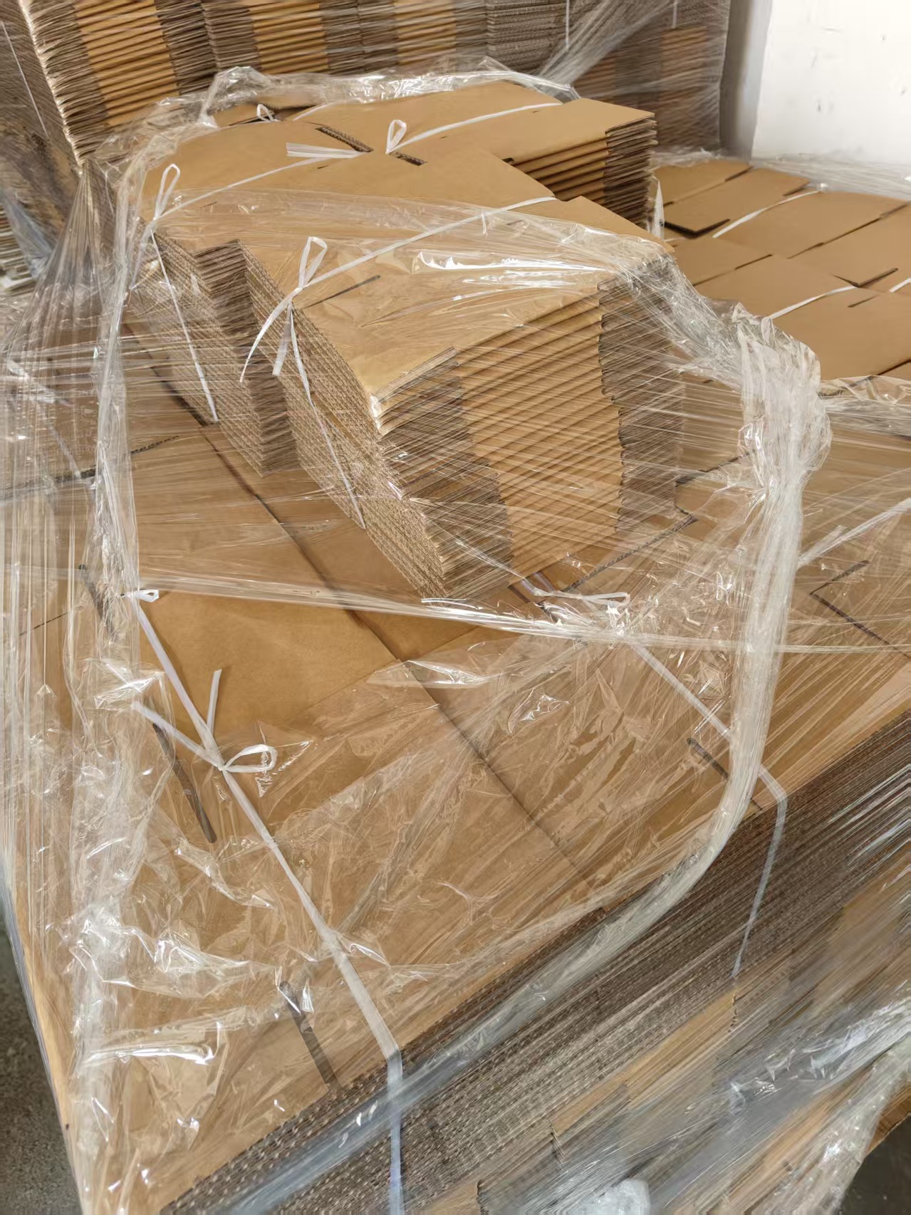 微信图片_20251023092116_114_40