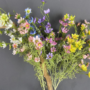 �b��ǿղ�˹�շ��滨������Ȼ�L�r�վW�t���b����Q����