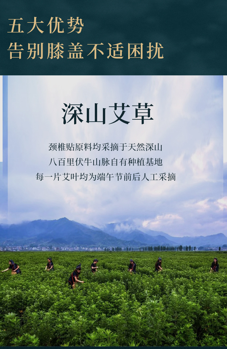 Yao Benren Mugwort Knee Patch Herbal Topical Patch 12 Patches Per Box 10cm x 15cm quality and texture