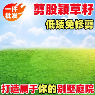 ���ɷf���Ѳ�ƺ���Ѹߠ��������Ƥ�N���ļ��������޼��N��