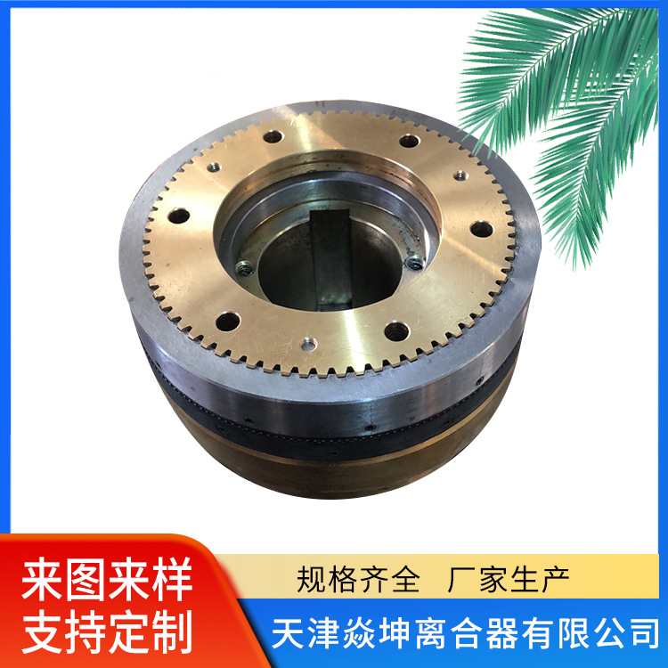 湿式多片电磁离合器 --DLM0-2.5-天津厂家直销离合器