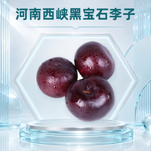 河南西峡黑宝石李子 批发代发2/3/5斤酸甜黄肉黑布林礼盒新鲜水果