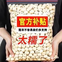 莲子干货去芯湘莲白莲子莲米湘潭干莲子产新鲜无芯磨皮莲子批发