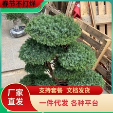 һ�����lӭ��������辰�҃����ɰصذ������辰�k����ͥԺ���^ֲ
