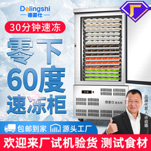 德菱仕速冻机小型低温冷冻柜 海参饺子包子速冻柜商用大容量冷柜
