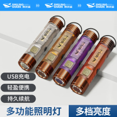 ミニ強光超亮懐中電灯磁気吸引充電携帯型超長航続小型フック作業灯