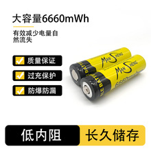 18650�늳ش�����3.7V�������Ͳ���Ħ�������L��6660mwh���