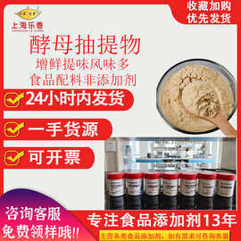 安琪酵母抽提取物YE食品增鲜增味剂风味调节型号齐全酵母抽提物
