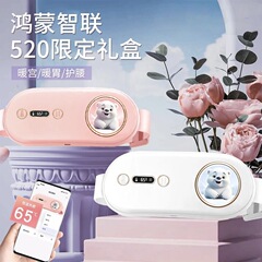 クロスボーダーの暖かい宮の宝の電気の暖かい宮のベルトの大きい叔母の神器の腹部は女子学生を温めて腰のギフトボックスの卸売りをかぶせます。