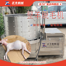 圆筒式100型牛蹄脱毛机跨境猪牛羊头打毛机厂家 可定制猪蹄脱毛机
