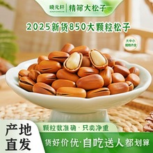 东北红松子大开口松子500g袋罐装 坚果炒货休闲干果零食 批发代发