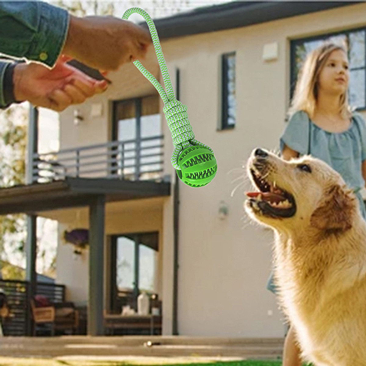 Giocattolo per cani Amazon Pet a forma di palla anguria con guinzaglio, gioco di tiro alla fune, giocattolo da masticare e per la dentizione, con funzione di rilascio del cibo._voghion.com