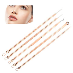 Stainless steel powder exfoliating needle 5-piece set blackhead needle pimple dark spot needle pimple squeezing beauty tool powder exfoliating needle set