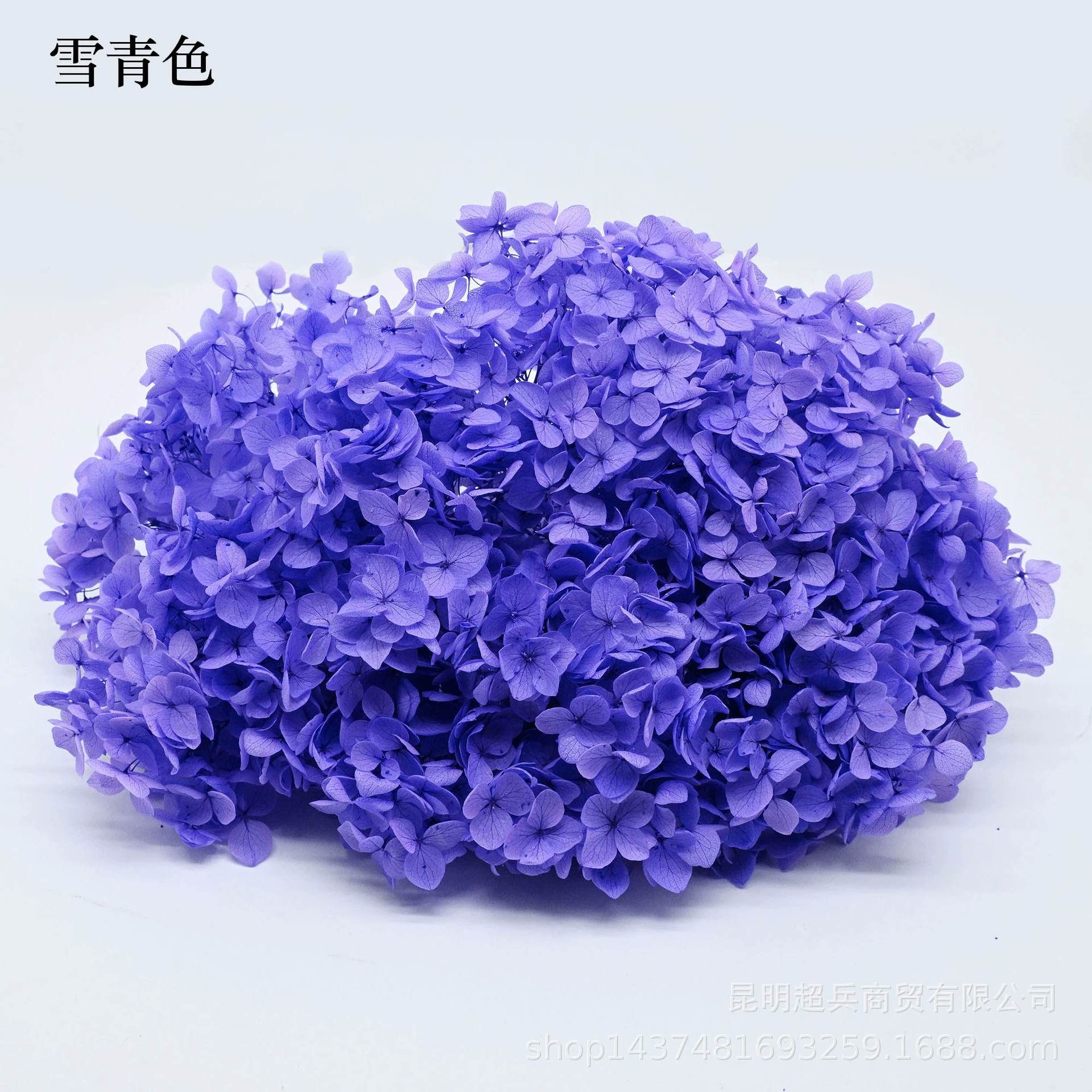 [Вечная Life Flower Hydrangea] Анна Градиентный цвет Лист Hydramid Книга цветов оптом DIY цветочная коробка материал для просмотра