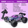Professional RC (Raptor Purple) full scale 60KM