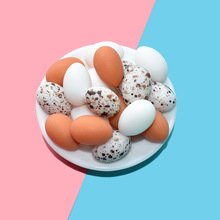 diy树脂配件立体鸡蛋鸭蛋鹌鹑蛋微景观装饰配件小摆件过家家玩具