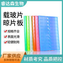 晾片板20片存放板晾片架操作板切片板实验耗材载玻片存放板