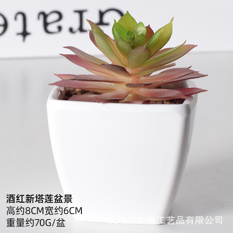 Simulación de plástico carnoso bonsai flor falsa combinación oficina interior escritorio plantas verdes pequeños adornos plantas artificiales al por mayor image 27