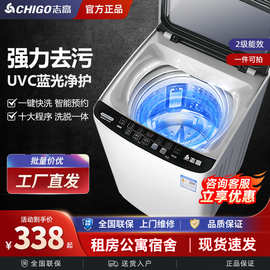 志高洗衣机全自动波轮小型洗衣机带脱水租房宿舍大容量家庭洗衣机