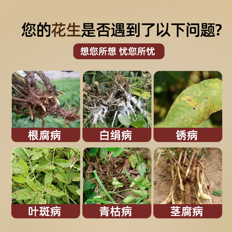 正品落花生病菌清さび病白絹枯れ葉斑病全治抗病増产大量粒満腹専用肥料|undefined