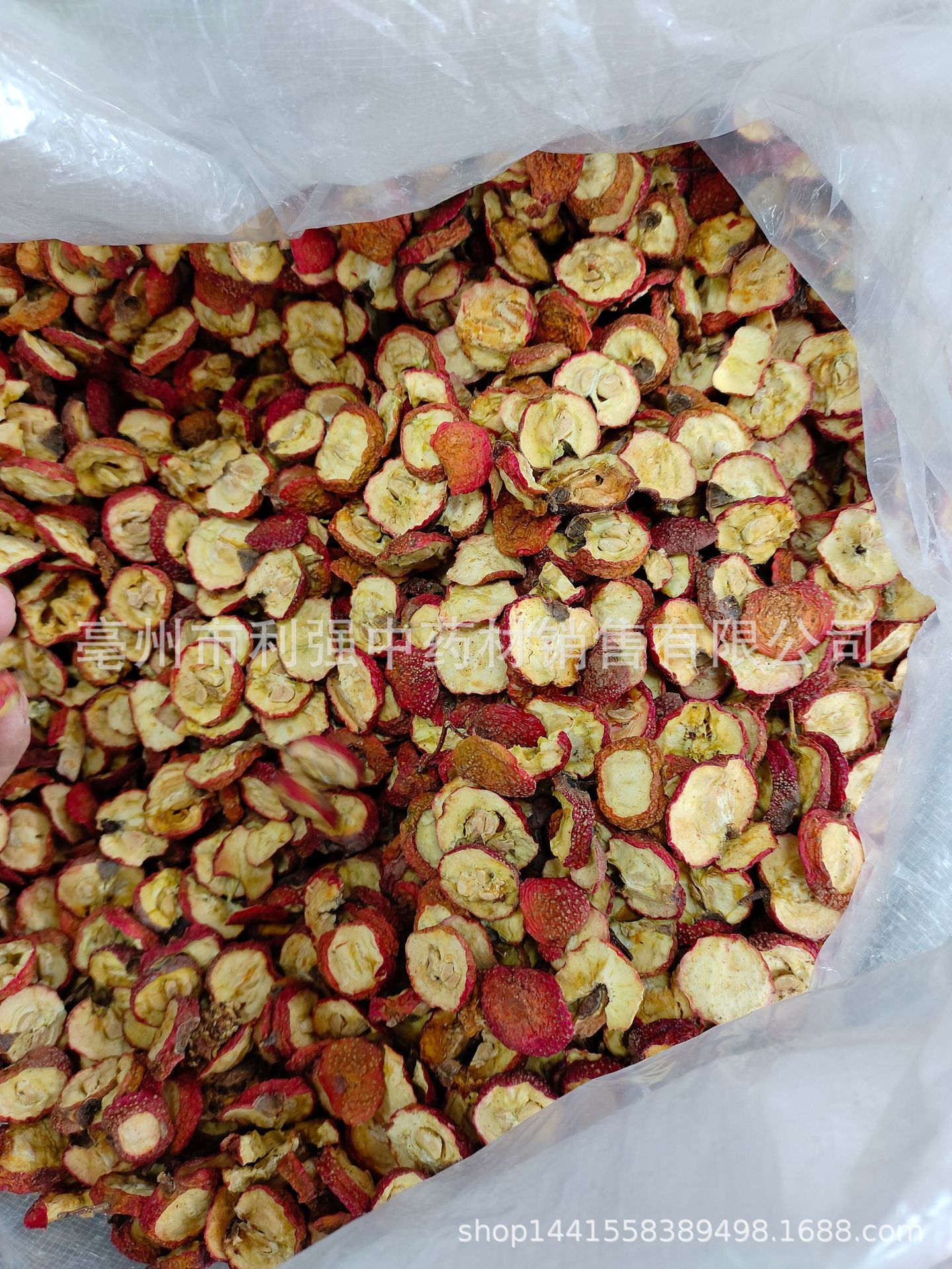 씨앗과 전체 조각