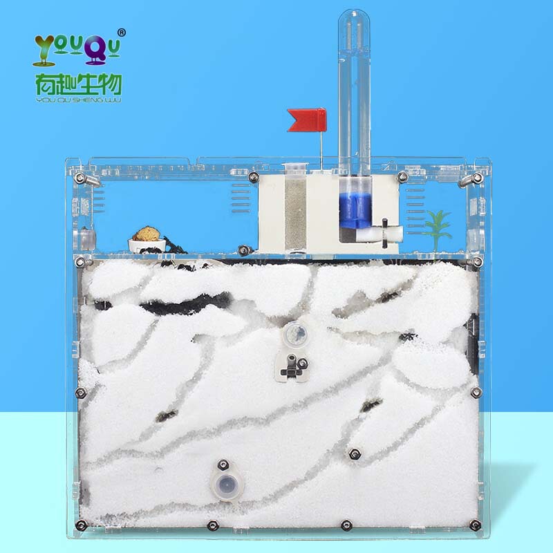 [Ant Castle S22] Pet Ant Cage Kingdom Ant Nest Room Ecological Home Box Workshop Villa Queen Ant