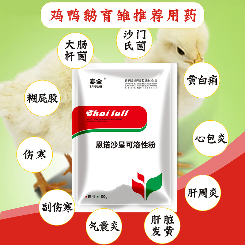 泰全兽药小鸡鸭鹅鸽子鹌鹑育雏宝雏鸡七天开口乐恩诺沙星可溶性粉