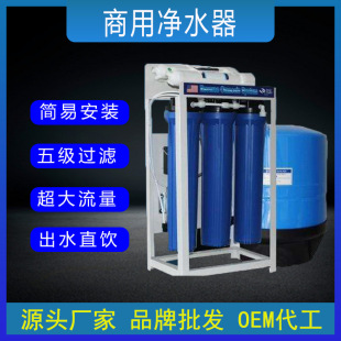 Commercial Large Flow Water Purifier Ro Water Purifier Reverse Osmosis Water Filter Direct Drinking Machine Business Water Dispenser Purifier