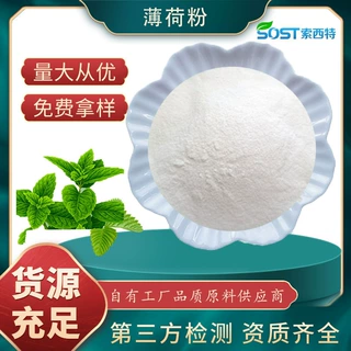 薄荷提取物 薄荷醇 薄荷粉 10：1薄荷比例提取物 工厂现货 可寄样