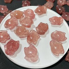 ��Ȼ��ݮ�����^�����Ⱥ������diy���ˮ���t�K�����ִ��Ʒ