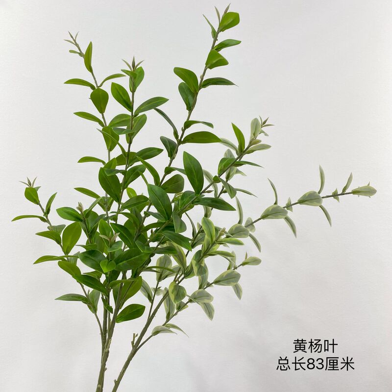 Simulated leaf feel, boxwood leaf, high quality medlar leaf, watercress leaf, landscaping, green plant engineering, flower plant