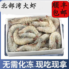 ��S���]���r�r���ك������r���r�����r���r��r�֠���ͬ��