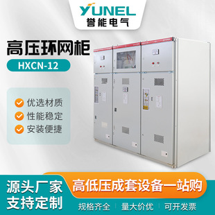 High Voltage Ring Mesh Cabinet High Voltage Switch Cabinet 10KV High Voltage Distribution Cabinet Circuit Breaker Medium Cabinet in and Out Cabinet Ring Mesh Cabinet
