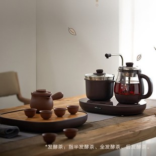 Bear Tea Boiling ZCQ-A08S5 Boiling Teapot 0.8L Flower Tea Pot Health Pot Small Capacity Office Heat Pot