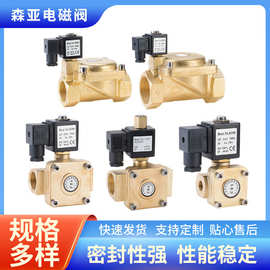 0927/0955 系列二通二位先导式1.6Mpa常开常闭电磁阀， 自由安装
