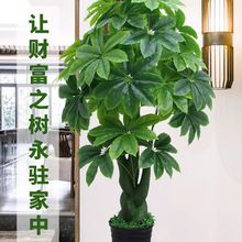 �߼�����lؔ�������k�������ϾGֲ�҃��bٻ��͏d�[�Oֲ���辰