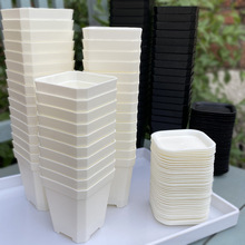 ���l�˽ǼӺ�С�׷����⻨���غ����Ϸ���ֲ���~���������ڷ���