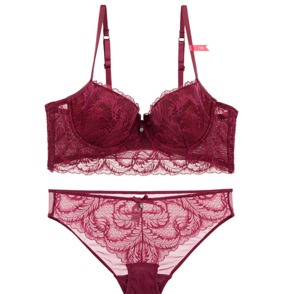 New Sexy Feather Series Bra Set for Women Gathering Beautiful Curve Cotton Cup_voghion.com