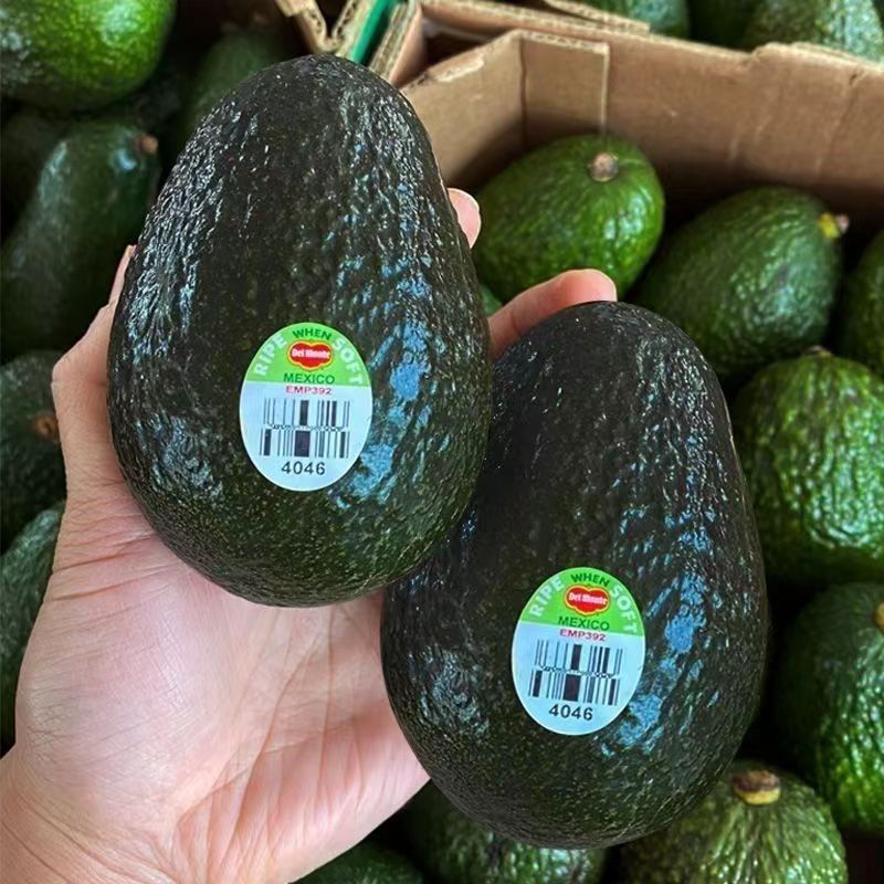 D Peru imported avocado fresh Hass fruit for pregnant women and baby solid food avocado seasonal fruit from Mexico