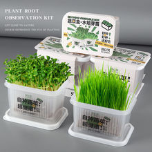 ��ͯ�NֲС���Ԅ�������ֲ��ˮ�����Bֲ���ϵ���L�^������տ�