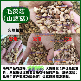 ɽ�ȹ� ��ë�ȹ�ɽ�Ĺ�������é�ȹ����e�����^���й�ȹ�